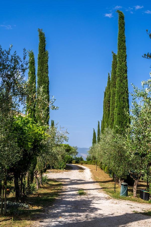 La Fonte Bevagna